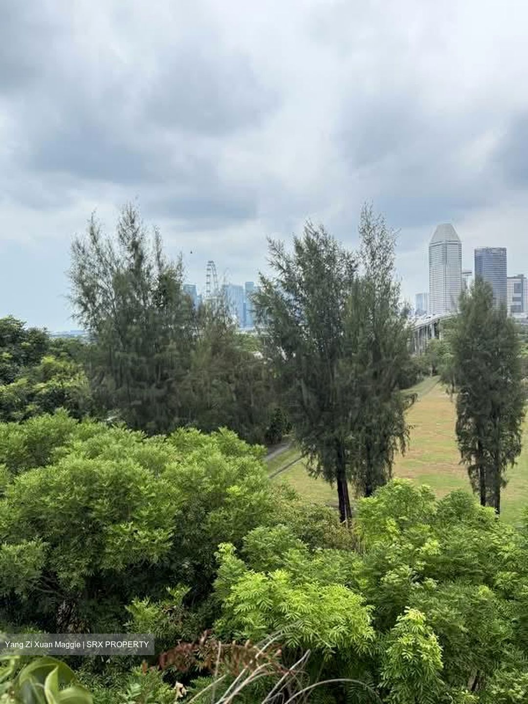 Sanctuary Green (D15), Condominium #546134541